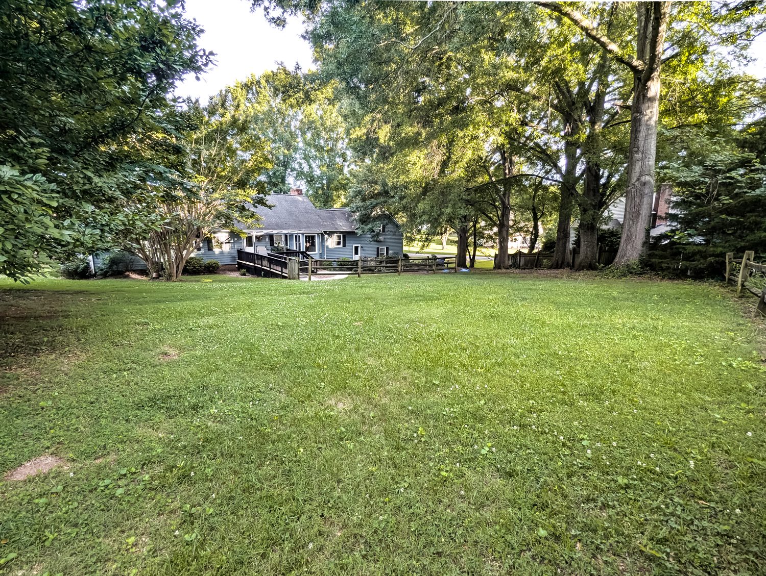 Backyard lawn and wooded grounds